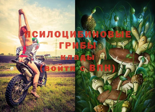гашишное масло Абинск
