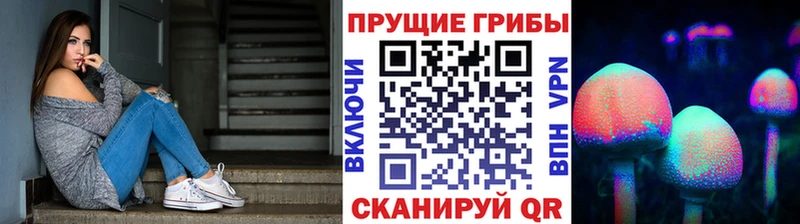 Галлюциногенные грибы Psilocybine cubensis  где купить наркотик  Шадринск 