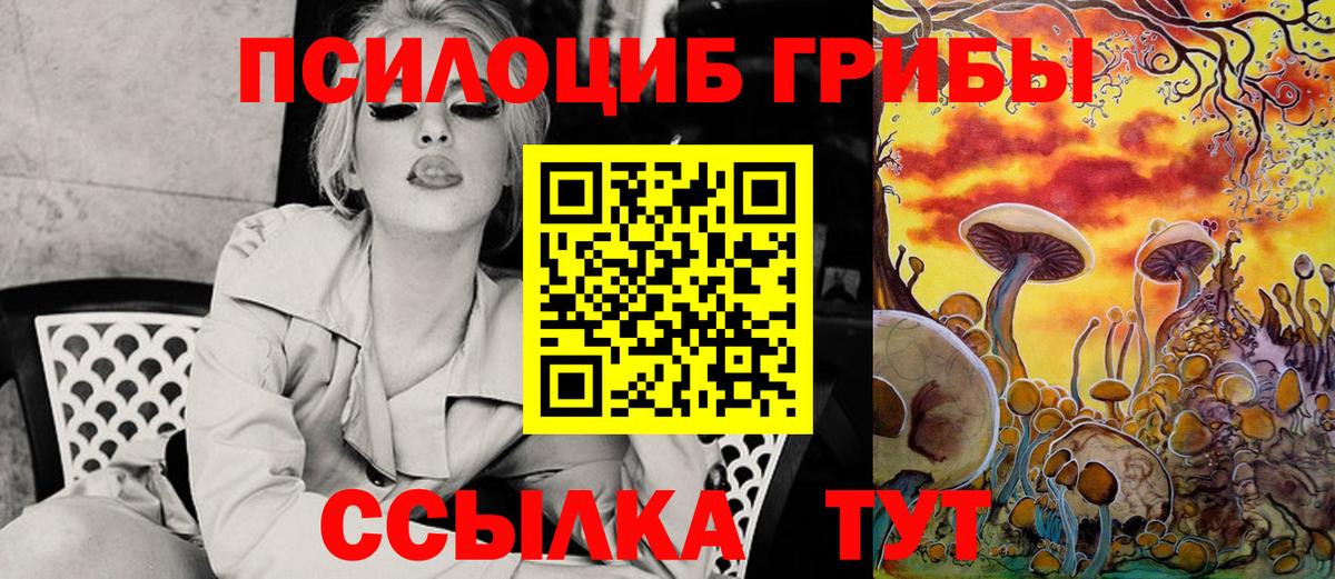 Псилоцибиновые грибы GOLDEN TEACHER  Псилоцибиновые грибы ЛСД  Вход с VPN  Шадринск 